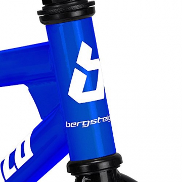 Bergsteiger Monaco 16 Zoll Kinderfahrrad, geeignet für 4, 5, 6 Jahre, BMX, Stützräder, Rücktrittbremse, Trinkflasche, Kettenschutz - 4