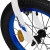 Bergsteiger Monaco 16 Zoll Kinderfahrrad, geeignet für 4, 5, 6 Jahre, BMX, Stützräder, Rücktrittbremse, Trinkflasche, Kettenschutz - 8
