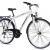 CHRISSON 28 Zoll Trekkingfahrrad Herren - Intouri Gent Weiss - Herren-Citybike mit 24 Gang Shimano Acera Kettenschaltung, Herren Trekkingrad mit Suntour Federgabel bequemtes Tourenfahrrad für Männer - 1