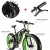 Extrbici XF800, E-Bike, 1000 W, 48 V, 13 Ah, Xf800, weiß - 3