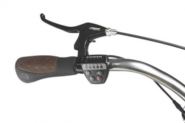 FISCHER E-Bike RETRO ER 1704, schwarz, Vorderradmotor 36 V/317 Wh und LED-Display - 