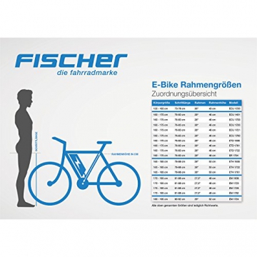 FISCHER E-Bike RETRO ER 1704, schwarz, Vorderradmotor 36 V/317 Wh und LED-Display - 