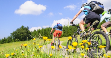 Mountainbike Schuhe Test