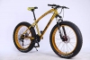 MYTNN Fatbike 26 Zoll 21 Gang Shimano Fat Tyre Mountainbike Gold 47 cm RH Snow Bike Fat Bike (Gold/Gold) - 1